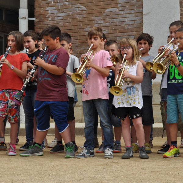 Jornada de formació zona 1: La pràctica instrumental a l’ensenyament obligatori