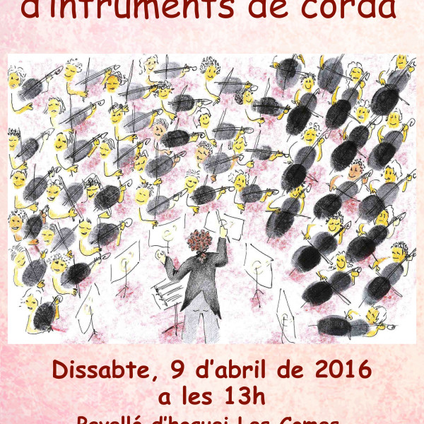 7a Trobada d’instruments de corda del Penedès a Igualada