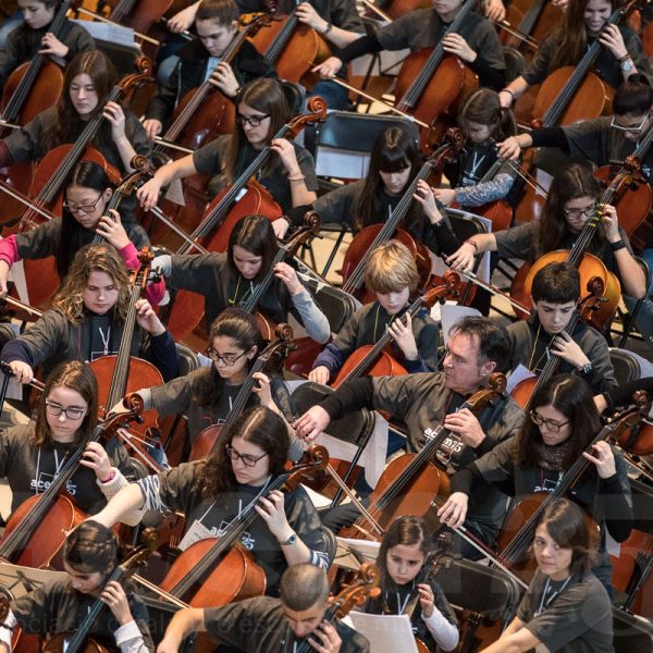 Trobada de corda fregada Fiddle