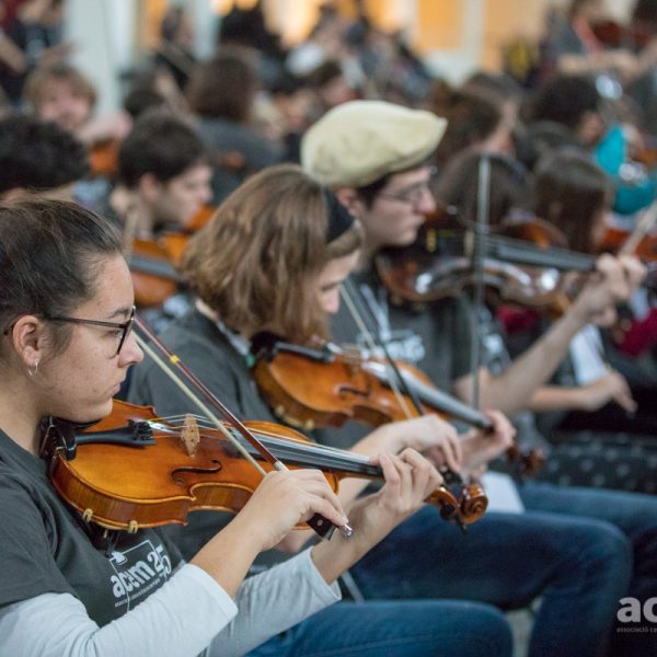 Reunió informativa Fiddle per a les escoles: 7 d’octubre a les 11h per Zoom