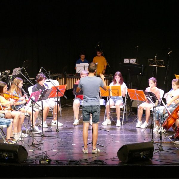 Homenatge a Pau Riba a les Escoles de Terres de l’Ebre (Activitat zona 9)